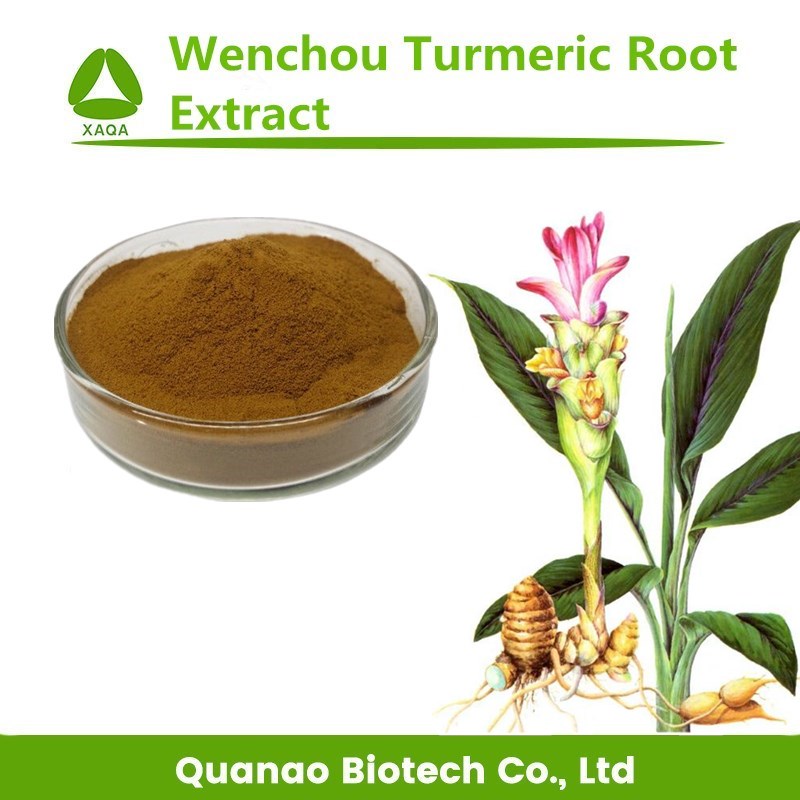 Wenchou Kurkuma Wortel Extract Curcuma Aromatica Poeder 10:1