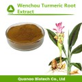 Extrait de racine de curcuma Wenchou poudre de curcuma aromatique 10:1