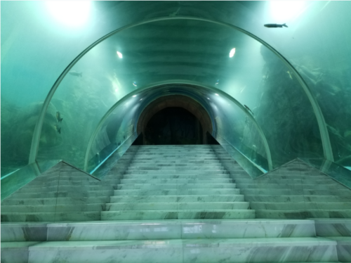 Tunnel di vetro del serbatoio acquario Oceanarium curvo