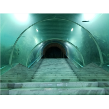 Gebogen oceanarium aquariumtank acrylglas tunnel