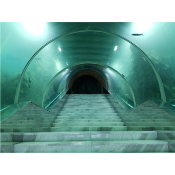 Kavisli okyanus akvaryum tankı akrilikler cam tünel