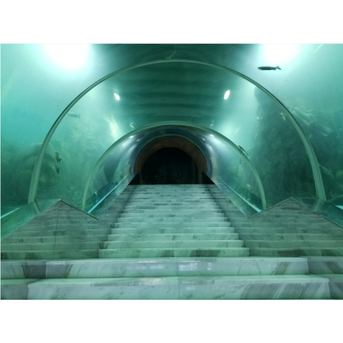 Stor ultra klar krökt akrylglas tunnel
