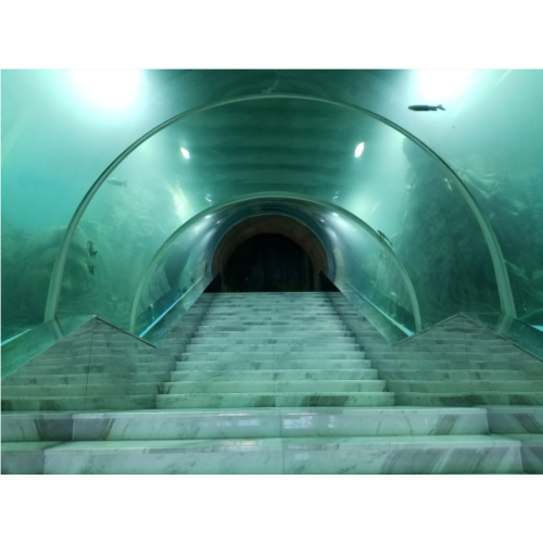 Gebogen oceanarium aquariumtank acrylglas tunnel