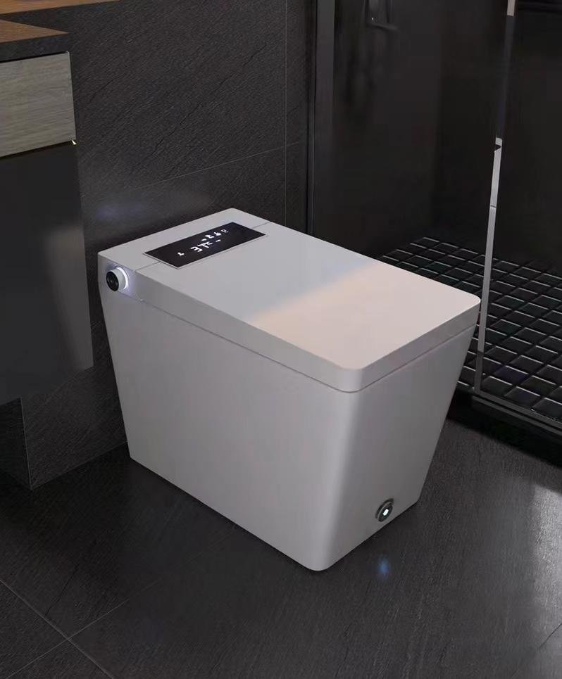 smart toilet