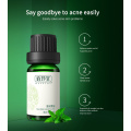 10ml Treatment Face Serum Tea Tree Essential Oil Remove Dark Spots Ance Burn Scar Smooth Skin Care Facial Essence Cream TSLM2