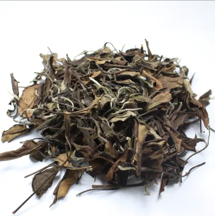 Camellia Sinensis White Tea Extract Powder