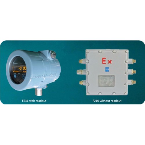 Compressed natural gas mass flow meter