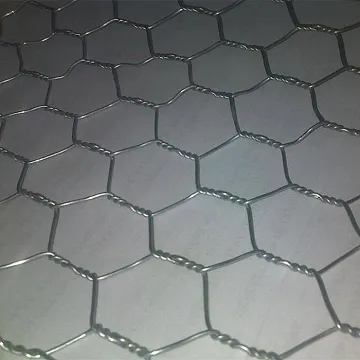 Stainless Steel Hexagonal Wire Mesh