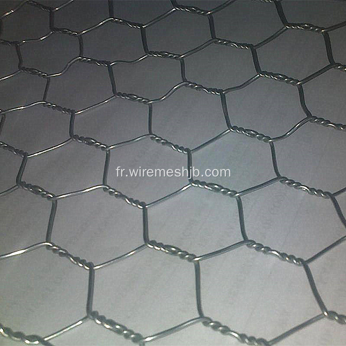 Treillis métallique hexagonal en acier inoxydable