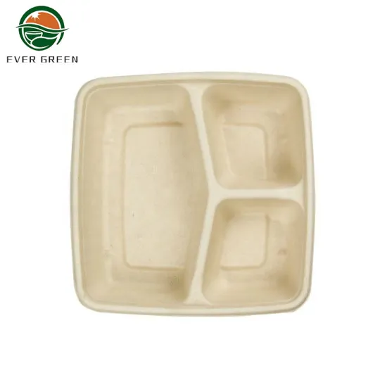 BIODEGRADABLE SUGARCANE BAGASSE CONTAINER BENTO LUNCH BOX