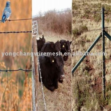 animals fence