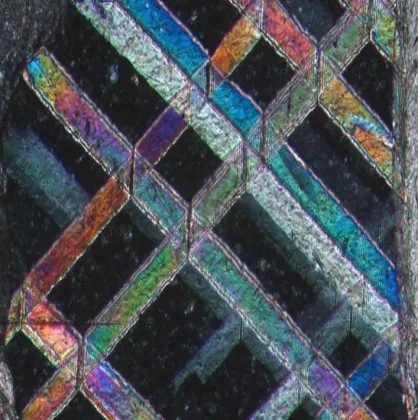 BestScope BS-5095 Trinocular Polarizing Microscope with Transmitted Illumination for Scientific Research