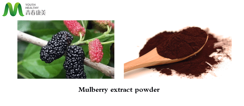 Mulberry Extract Powder