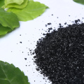 Promote Growth Extract of Humic Acid