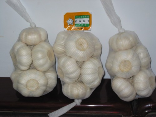 Chinese Fresh garlic