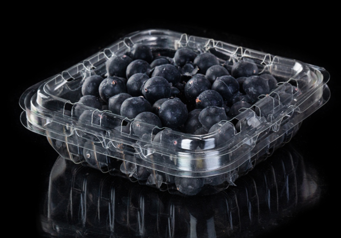 Blueberry Einweg-Kunststoffverpackungsbox