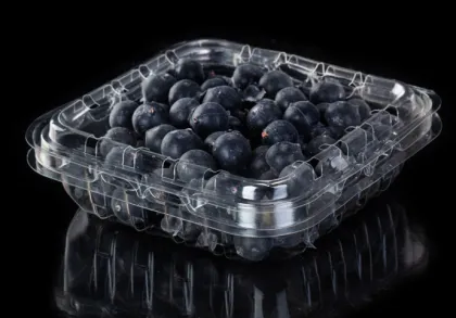 Wholesale disposable Blueberries Clam packaging