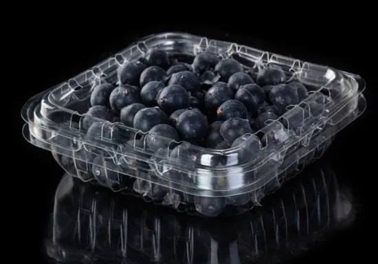 Wholesale disposable Blueberries Clam packaging