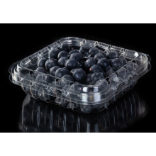 Blueberry Einweg-Kunststoffverpackungsbox