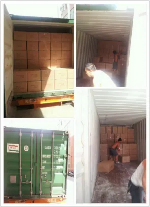 Sponge Stamp Paint Kit AJ/FL/CC/M/CT