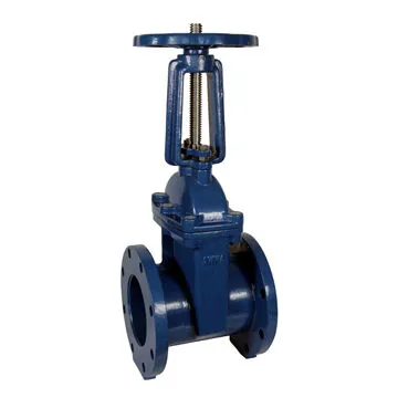 Rising stem ANSI gate valves