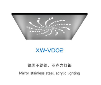 Потолочный лифт серии XW-VDO2