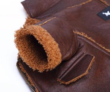 عالي الجودة من الجلد الشعار المخصص Teddy Velvet Dog Clothing من China Factory
