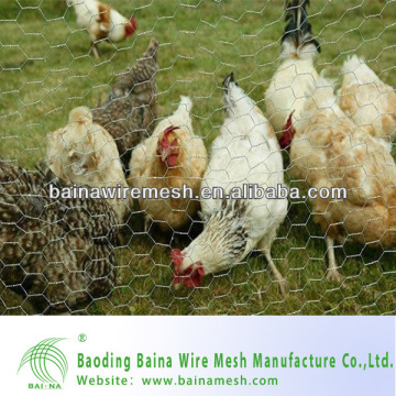 Lowes Chicken Coop Anping Hexagonal Wire Mesh