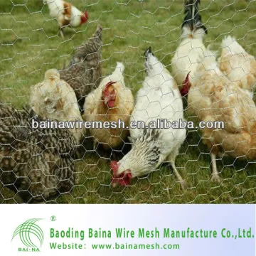 Lowes Chicken Coop Anping Hexagonal Wire Mesh