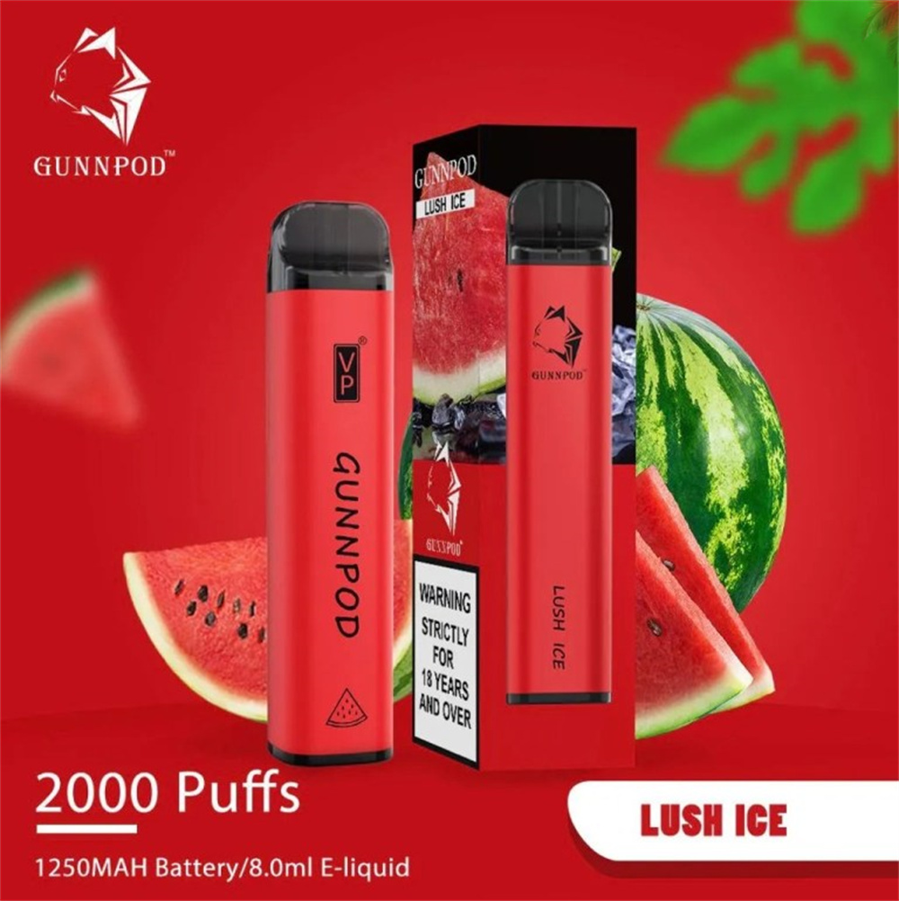 Gunnpod 2000 Puffs Großhandel Einweg -Vape Vape Stift