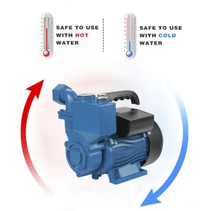 DM-ZDB 3/4HP ELESTAR Clean Single Phase Electric Motor for Garden Water Pumps