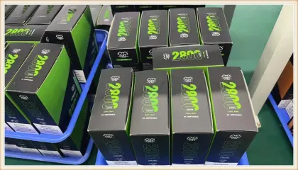 Puff Flex Flash Light 2800 Puffs Good