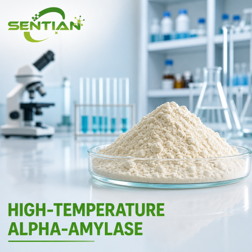 Advanced High-Temp Alpha-Amylase for Industrial Starch Use