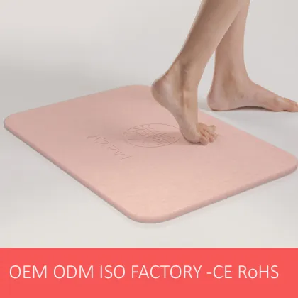 Water Fast Drying Non-slip Diatom Bath Mat