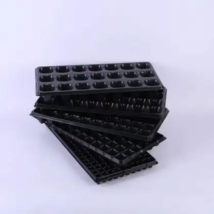 Seedling Tray Used for Agriculture Planting