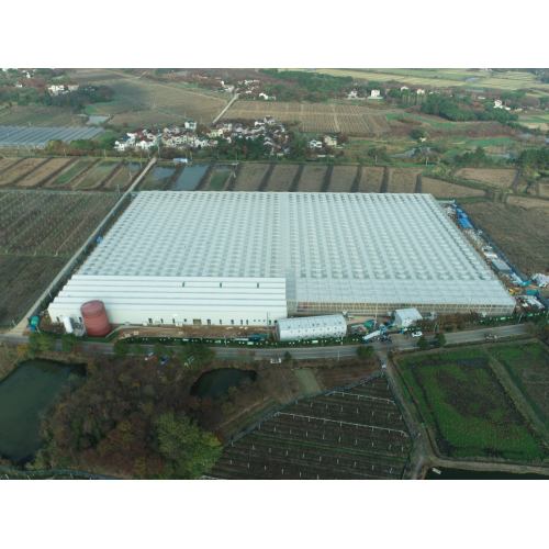 Dutch Designed Glass Greenhouse