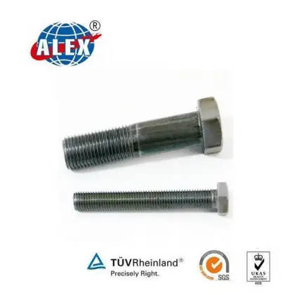 Hex Head Bolts High tensile, Railway parts supplier Hex Head Bolts, Railroad parts Hex Head Bolts