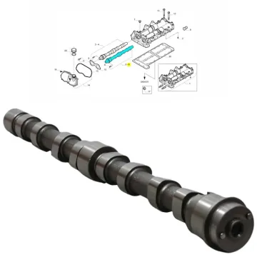 OEM Diesel Engine System Auto Parts for IVECO ENGINE F1CE - Fiat 504246094 502270029 for Iveco Daily 3.0L Camshaft