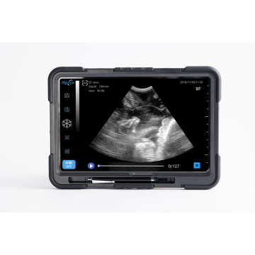 EagleScan C5 farm ultrasound machine