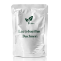 Probiotics -Pulver von Lactobacillus Buchneri