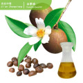 Camellia seed oil for skin care