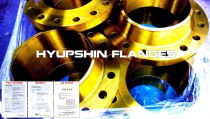 ANSI B16.47 A B Weld Neck Blank Flanges