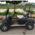 Off Road Gas Power Murah Golf Cart