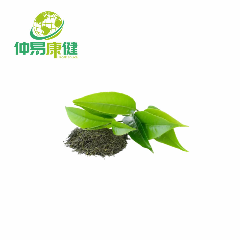 Green Tea Extract Polyphenols