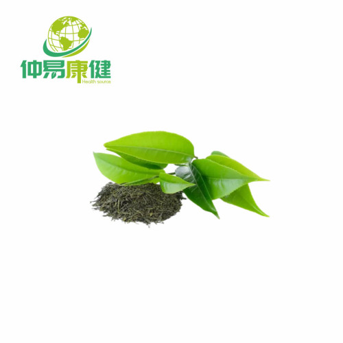 Green Tea Powder for Drink Powder Instant green tea powder Green tea extract powder Factory