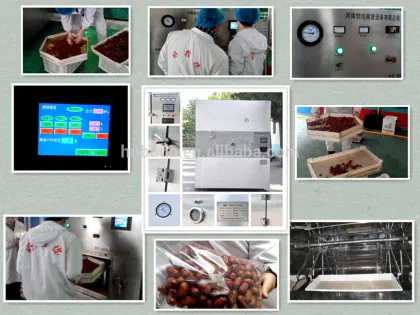 New Advanced microwave vacuum dryer of jackfruit