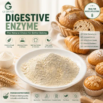 Digestive Enzyme Complex Digestive Health Nutritional Supplements