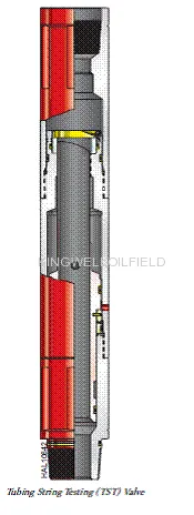 Tubing String Testing (tst) Valve Drill Stem Testing 