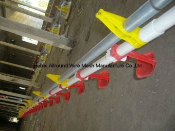 Poultry equipment for chicken raising  