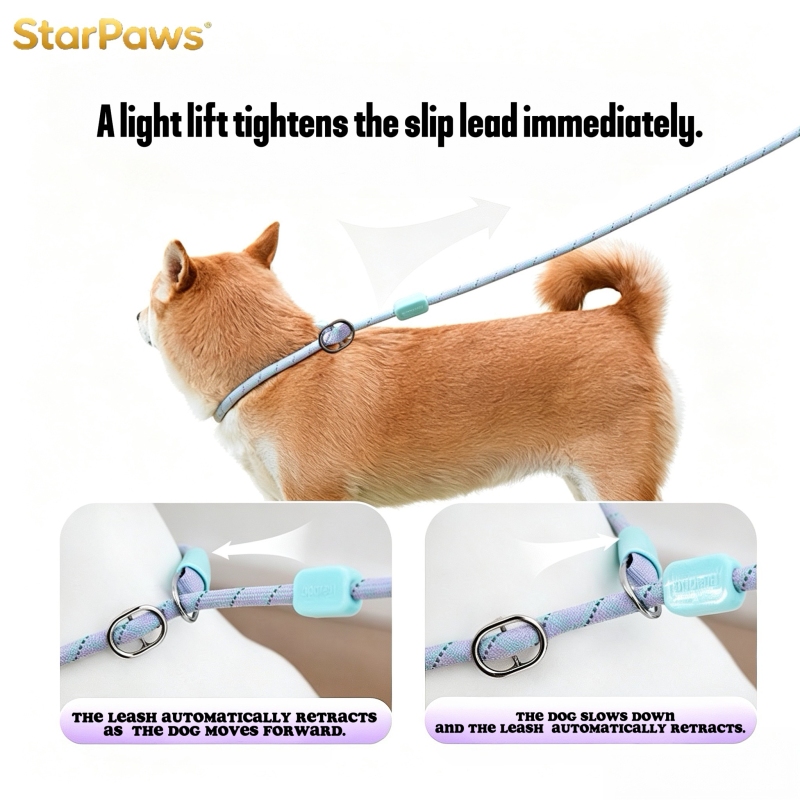 Heavy Duty Slip Lead Training Leash for Dogs